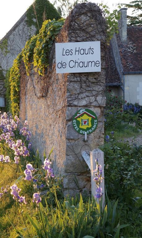 Les Hauts De Chaume Génillé Eksteriør billede